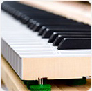 Solid Spruce, Responsive touch